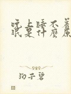 晚上睡不着觉失眠是什么原因