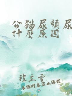 公猫尿频尿少是什么原因