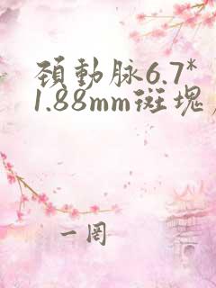 颈动脉6.7*1.88mm斑块严重