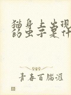 猫身上出现白色的虫子是什么