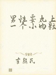 男性睾丸上长了一个小肉粒