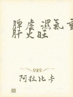 脾虚 湿气重 肝火旺