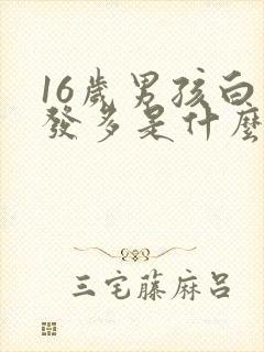 16岁男孩白头发多是什么原因