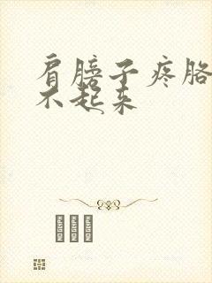 肩膀子疼胳膊抬不起来