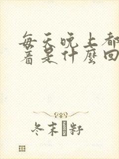 每天晚上都睡不着是什么回事