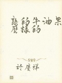 熟的牛油果是什么样的