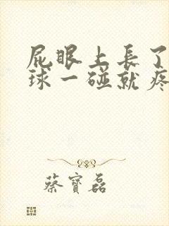 屁眼上长了个肉球一碰就疼