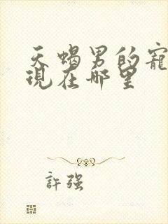 天蝎男的宠都体现在哪里