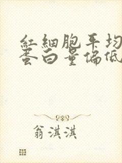 红细胞平均血红蛋白量偏低