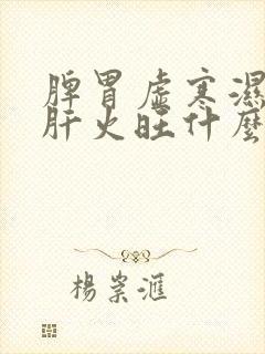 脾胃虚寒湿气重肝火旺什么症状