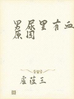 男尿里有血什么原因