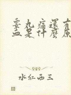 睾丸痛还有点尿血是什么原因