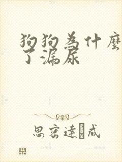 狗狗为什么睡着了漏尿