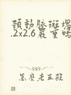 颈动脉斑块10.2x2.6严重吗