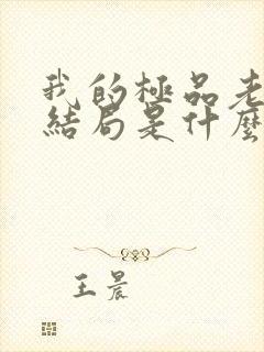 我的极品老婆大结局是什么