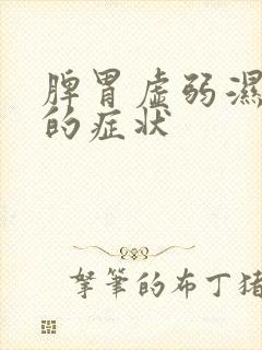 脾胃虚弱湿热重的症状