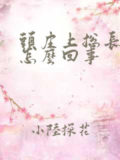 头皮上总长疙瘩怎么回事