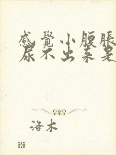 感觉小腹胀但是尿不出来是怎么回事