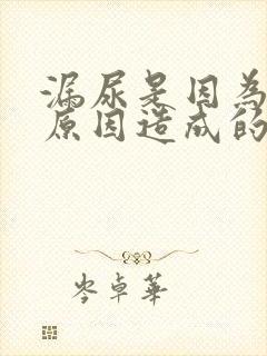 漏尿是因为什么原因造成的