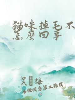 猫咪掉毛不长肉怎么回事