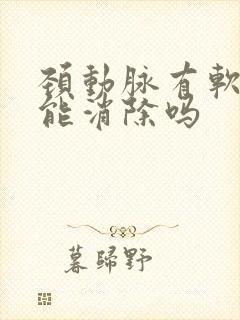 颈动脉有软斑块能消除吗