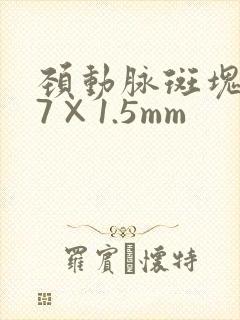 颈动脉斑块3.7×1.5mm
