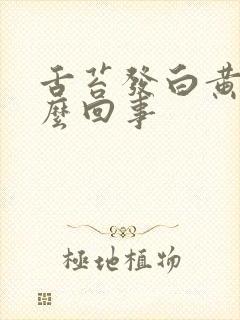 舌苔发白黄是怎么回事