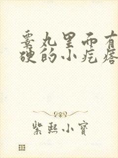 睾丸里面有个硬硬的小疙瘩一捏就疼