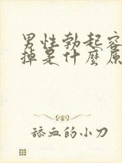 男性勃起容易软掉是什么原因