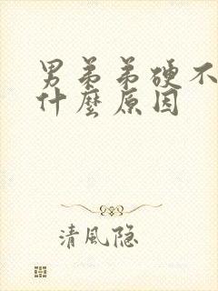 男弟弟硬不起来什么原因