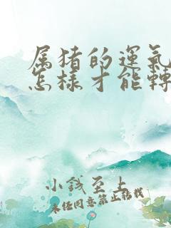 属猪的运气不好怎样才能转运