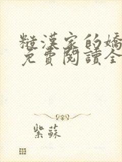 糙汉家的娇娇媳免费阅读全文