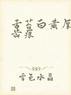 舌苔白黄厚腻有齿痕