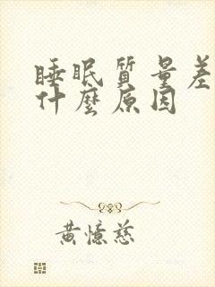 睡眠质量差做梦什么原因