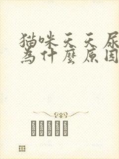 猫咪天天尿床因为什么原因