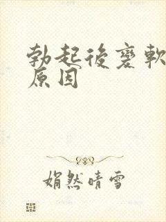 勃起后变软什么原因