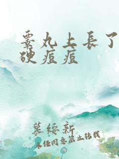 睾丸上长了白色硬痘痘