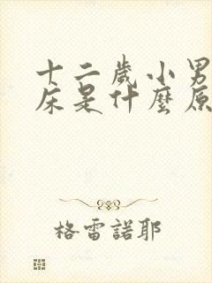 十二岁小男孩尿床是什么原因