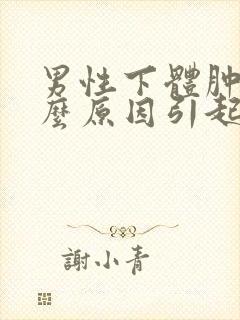 男性下体肿是什么原因引起的