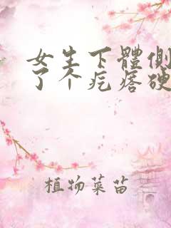 女生下体侧边长了个疙瘩硬硬的