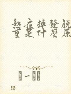 熬夜掉发脱发严重是什么原因