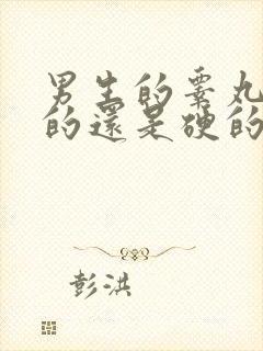 男生的睾丸是软的还是硬的