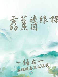 舌苔边缘锯齿状的原因