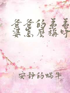 爸爸的弟弟的老婆怎么称呼