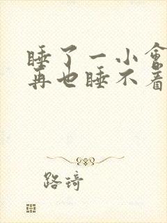 睡了一小会醒了再也睡不着