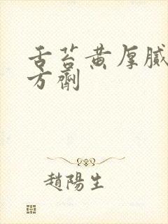 舌苔黄厚腻中药方剂