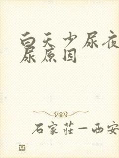 白天少尿夜里多尿原因