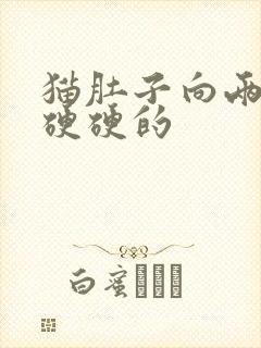 猫肚子向两侧鼓硬硬的