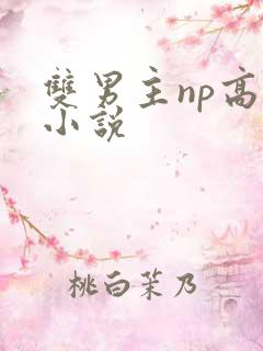 双男主np高h小说