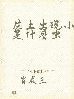 床上出现小黑虫是什么虫